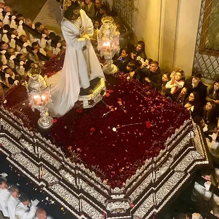 San Patricio 7 Malaga
